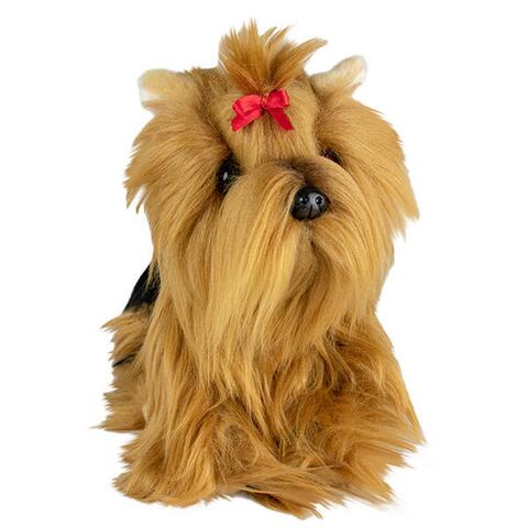 Yorkshire terrier bamse / Fifi