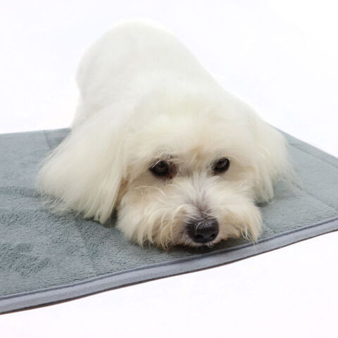 Vandabsorberende måtte og Sally