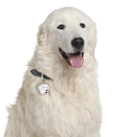 My Family | Hundetegn Maremma Sheepdog