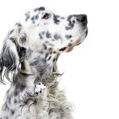 My Family | Hundetegn Engelsk Setter