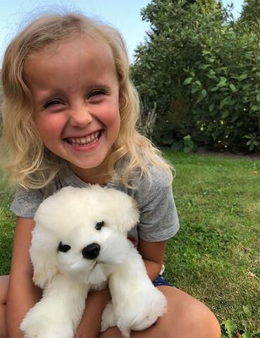 Coton de Tulear /Bichon Frise bamse/Ollie