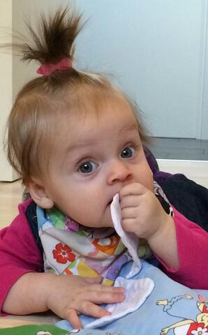 Plast sløjfe spænde 5 cm | Kan også bruges som pigespænde