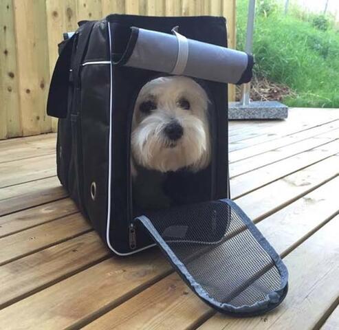 Do Do Pet bæretaske | ind og udgang