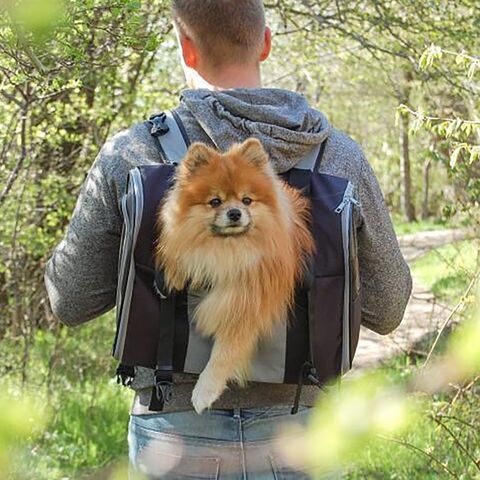 Trixie Connor hunderygsæk