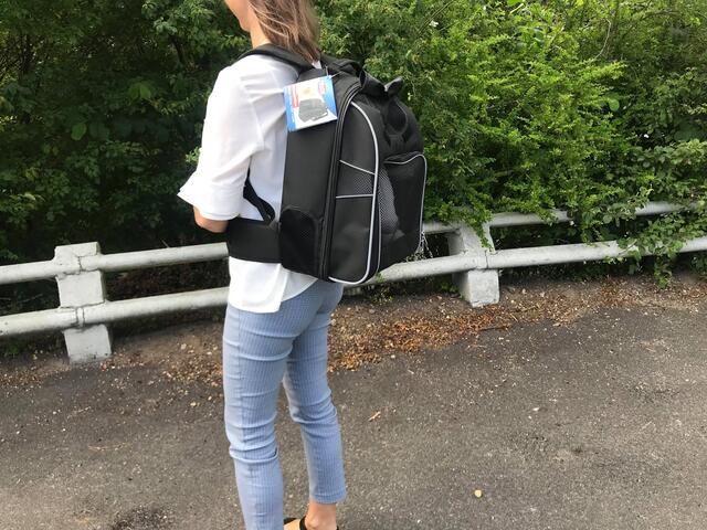 William backpack | hunderygsæk