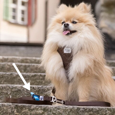 My Curli Basic line | Med høm høm poseholder