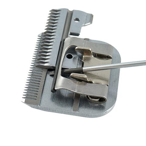 Oster klippeskær set bagfra