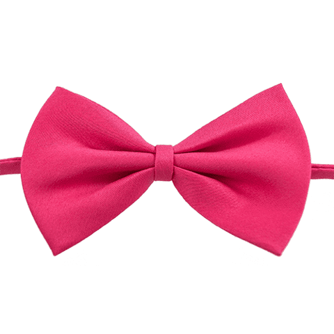 Afstivet hundebutterfly - Pink