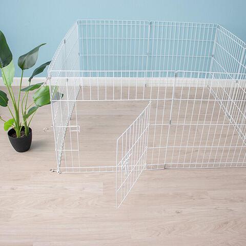 Ollipet hvalpegård | Hvid