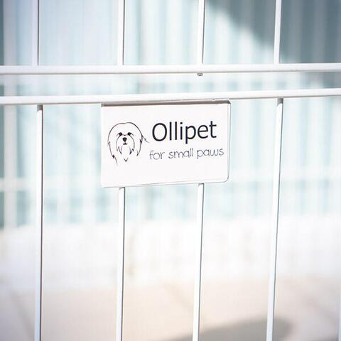 Ollipet hvalpegård | Hvid