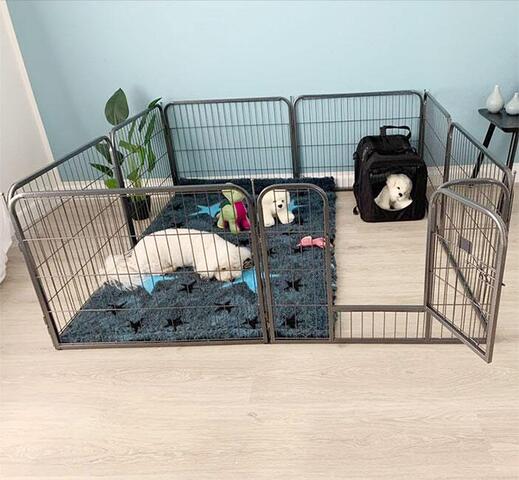 Ollipet hvalpegård i kraftig hammerlak