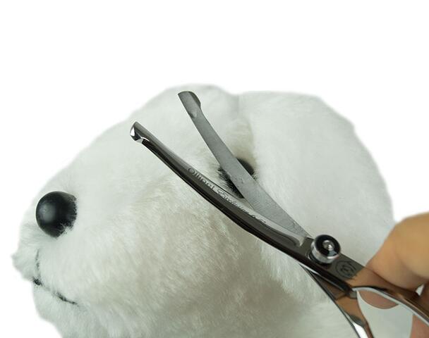 Buer ned | perfekt til klipning af øjenhår og mellem trædepuder