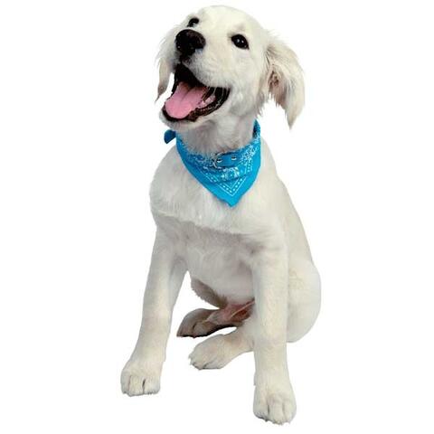 Halsbånd med tørklæde | Lyseblå