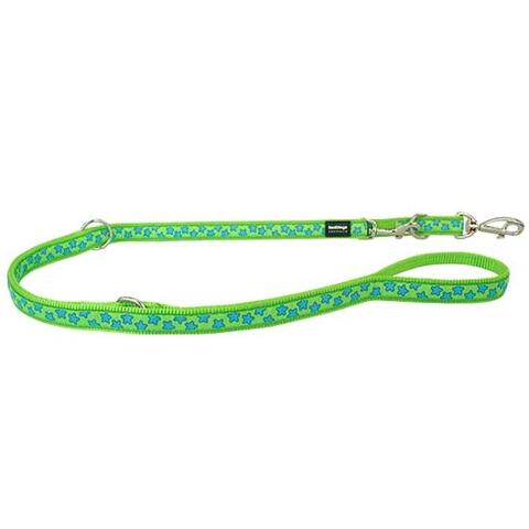 Red Dingo Dressurline | Blue stars on lime