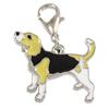 Charms m. hunderacer - Beagle