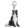 Hundecharms m. hunderacer - border collie
