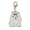 Hundecharms m. hunderacer  - Coton de tulear eller malteser