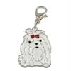 Charms m. hunderacer - Malteser / coton de tulear