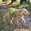 Hunter Refleksvest til hund