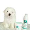 No. 5 Whitening Shampoo | BEA Natur | coton de tulear hvalp