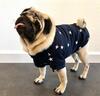 Hundebluse med stjerner | Fashion Paris