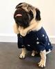 Hundebluse med stjerner | Fashion Paris