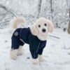 Ollipet flyverdragt | m. fleecefór på Puddelhund