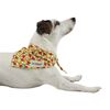 Ollipet Frugt Bandana I Citrus