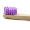 Ollipet Bambus Tandbørste | Lilla