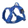 True Love Explosion Proof | Hundesele → Royal Blue