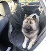 Ollipet Bilsæde beskytter