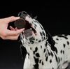 Black & White Cookies | Hundekiks m. kylling