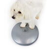 Balancepude til hundefitness