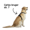 Carlos bruger str. 7