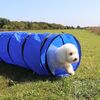 Ollipet Agility Tunnel / small I størrelse 43x200cm