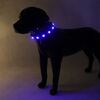 SOLID LED-halsbånd | Tize I Royal Blue