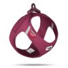 Curli Clasp Air Mesh Step-in Hundesele Ruby