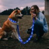 Hundesnor med LED-lys | Genopladelig