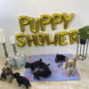 Puppy Shower Ballon