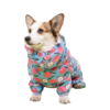 Ollipet Ponjo Raincoat