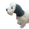 Ollipet Hoodie For Dog Ears | Størrelse Small til en Bomuldshund
