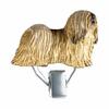 Nummerclips: Lhasa Apso |Brun