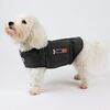 Thundershirt hjælper på separationsnervøsitet