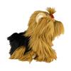 Yorkshire terrier bamse / Fifi