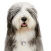 My Family | Hundetegn Old English Sheepdog