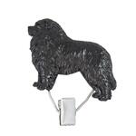 Nummerclips: Newfoundland