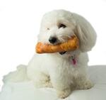 Denta Fun Big Roll m. Kylling