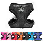 Ollipet sele og line sæt| Mesh