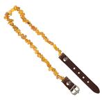 Ollipet Ravhalsbånd mod utøj | Med læderspænde