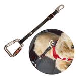 Curli Sikkerhedsbælte | bilsele